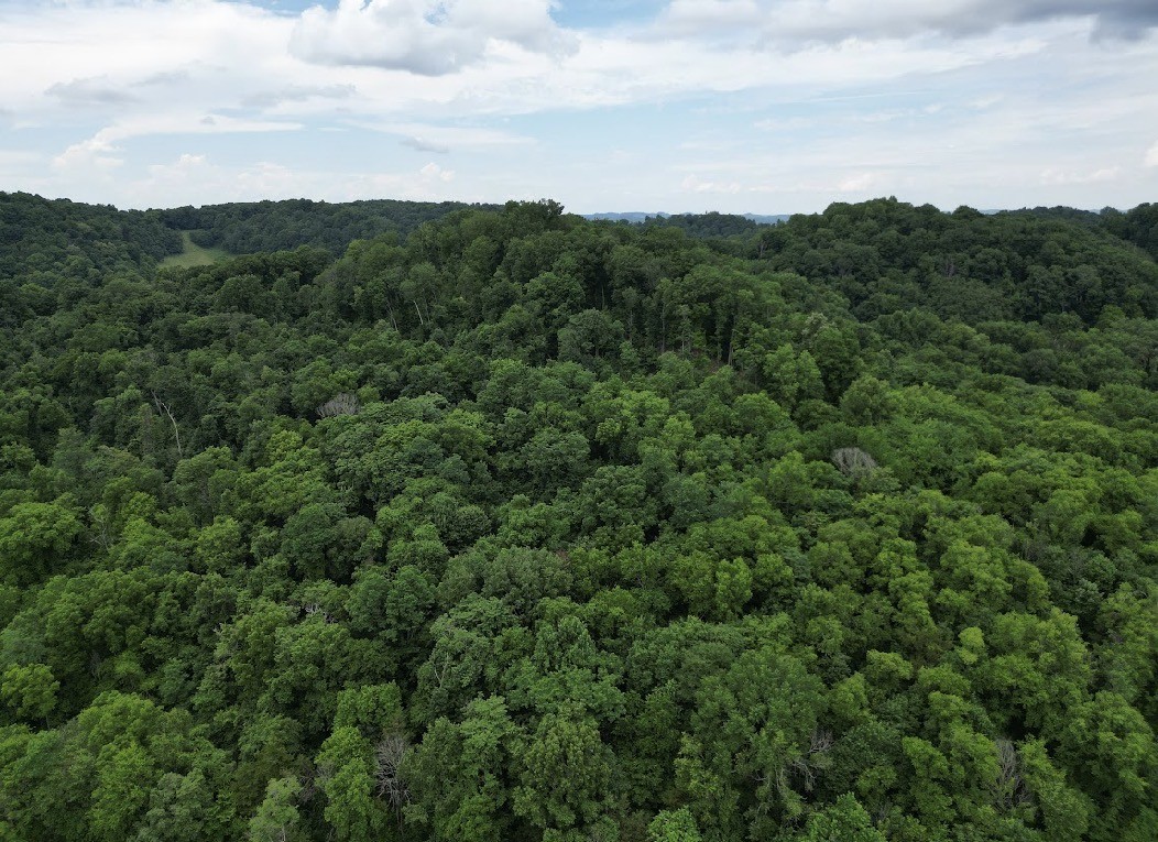98 Hackett Valley Road Hickman, TN 38567 - Photo 38 of 41