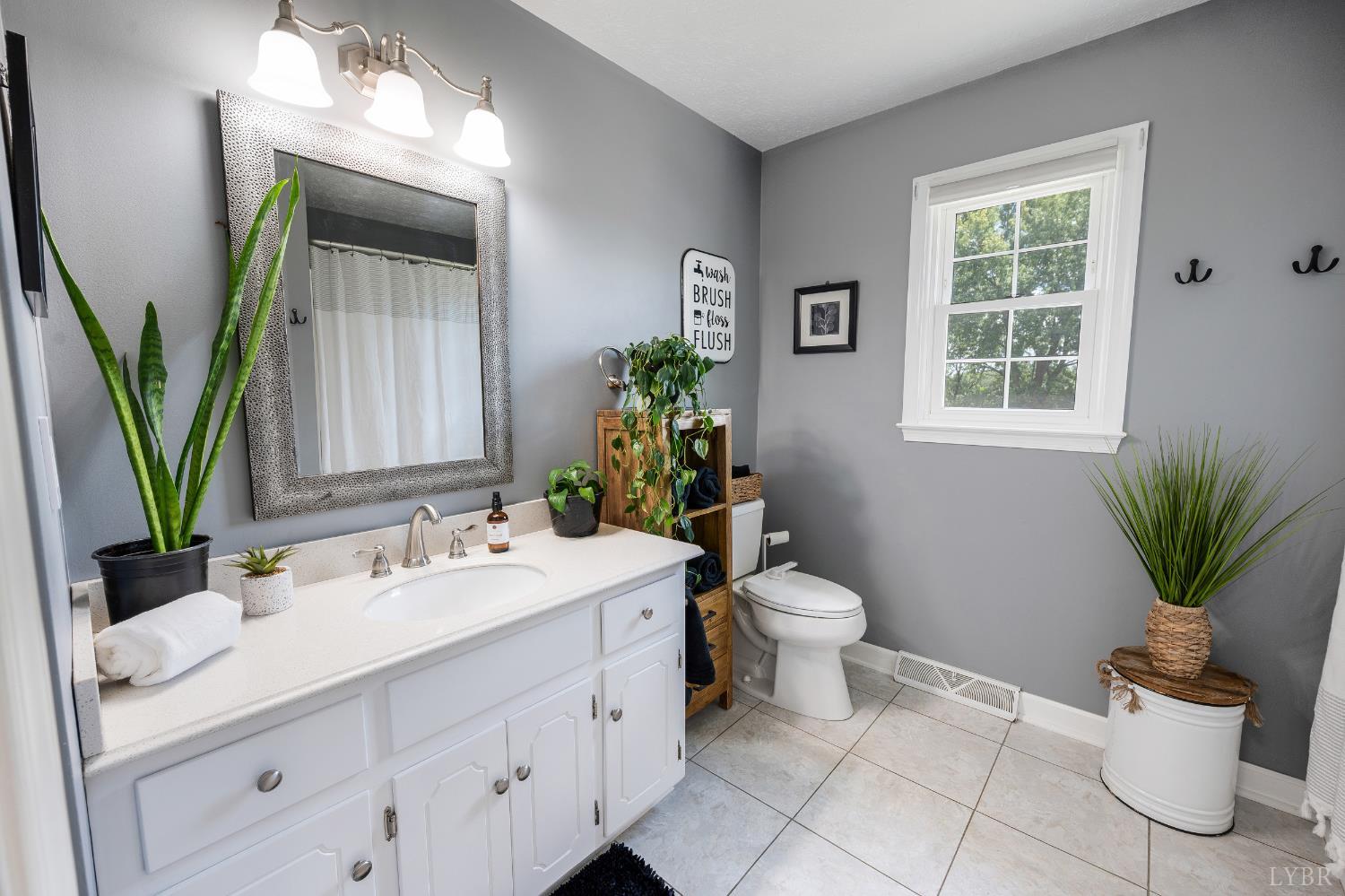 1199 Great Oak Road Forest, VA 24551 - Photo 15 of 85 a bathroom with a toilet a sink and mirror