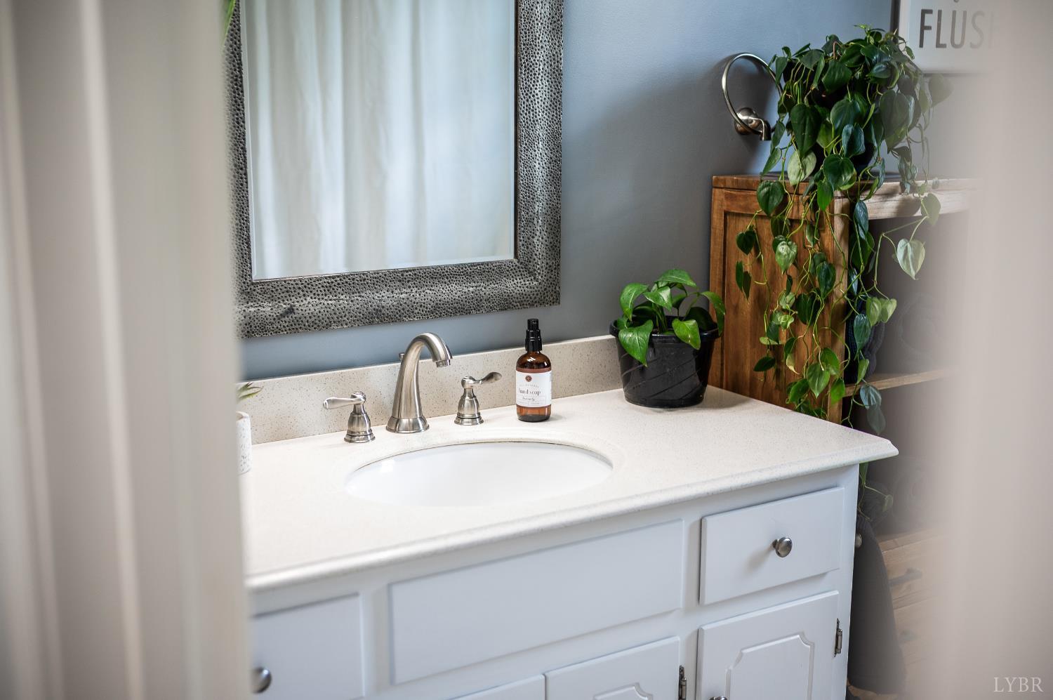 1199 Great Oak Road Forest, VA 24551 - Photo 17 of 85 a bathroom with a sink a vanity and a mirror