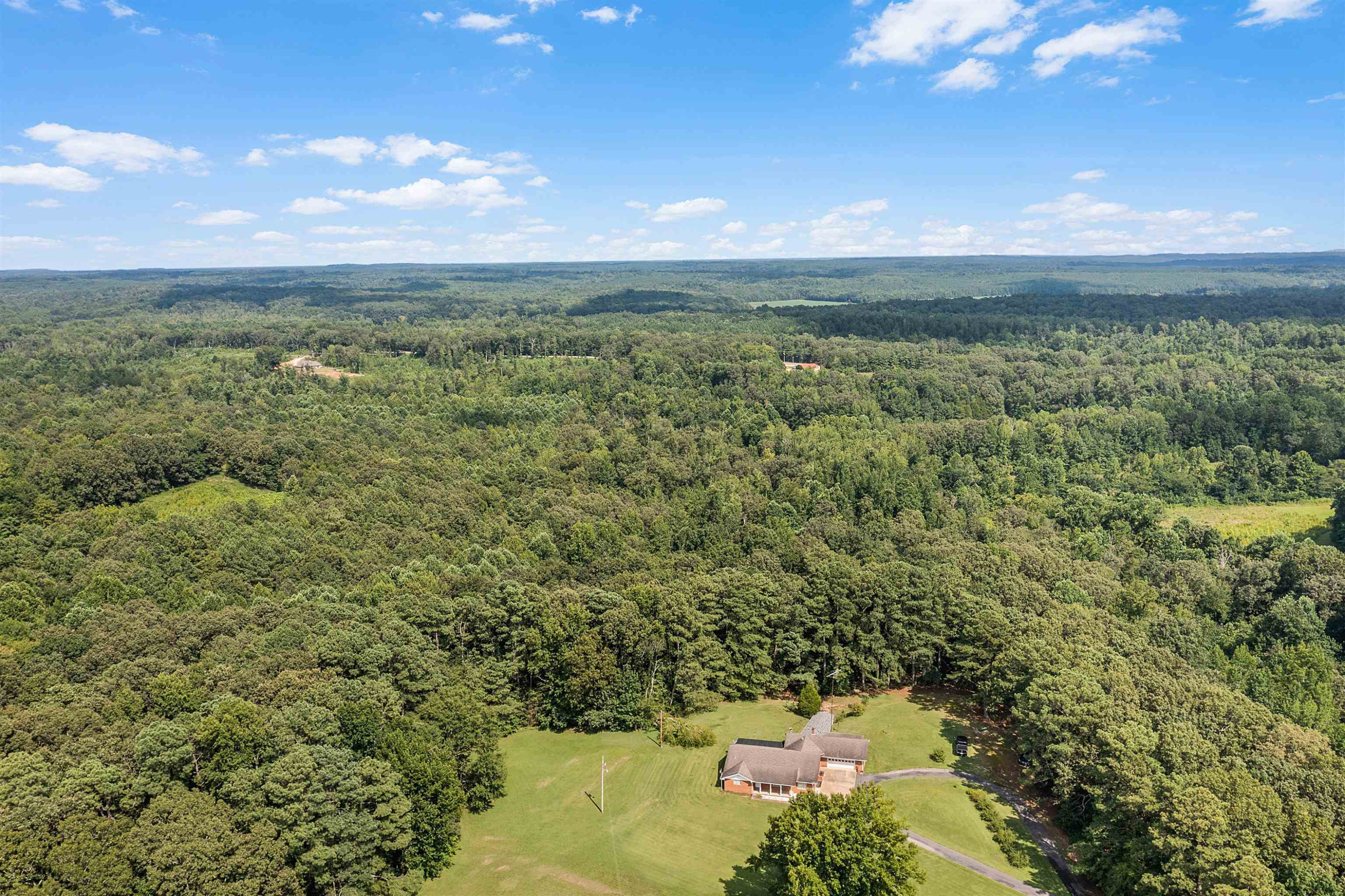 780 Griggs Chapel Road Cedar Grove, TN 38321 - Photo 23 of 25 a view of a lake in middle of the forest