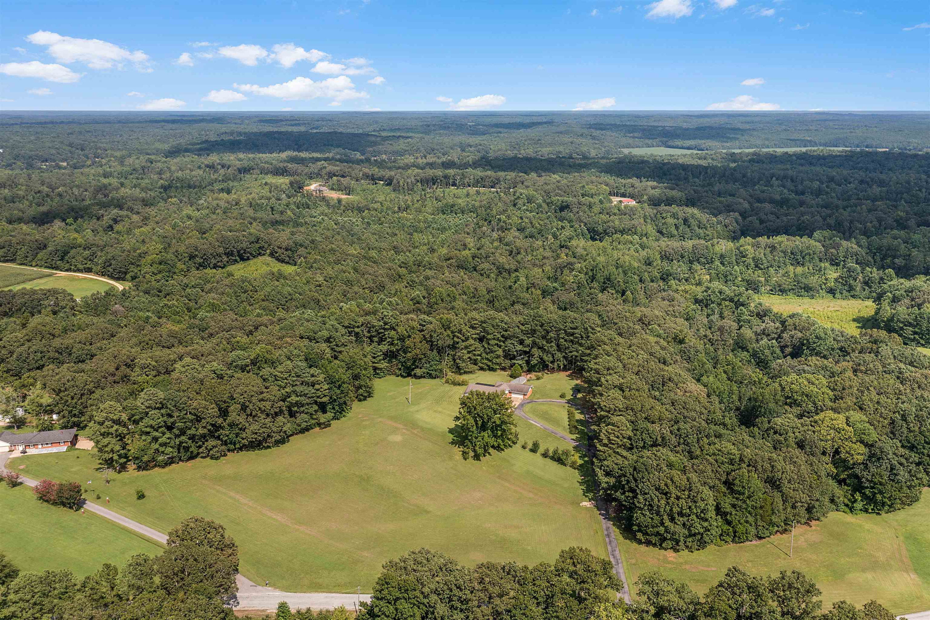 780 Griggs Chapel Road Cedar Grove, TN 38321 - Photo 25 of 25 a view of a dry yard with large trees