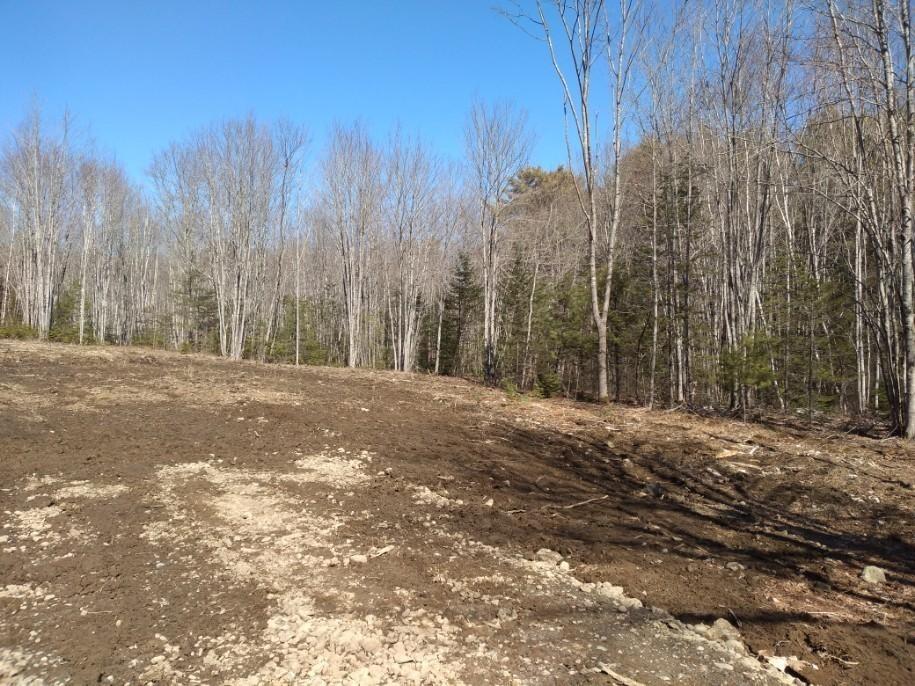 0 Sproul Hill Road, Unit 12 Bristol, ME 04539 - Photo 12 of 13 Lot 12 Photo 2