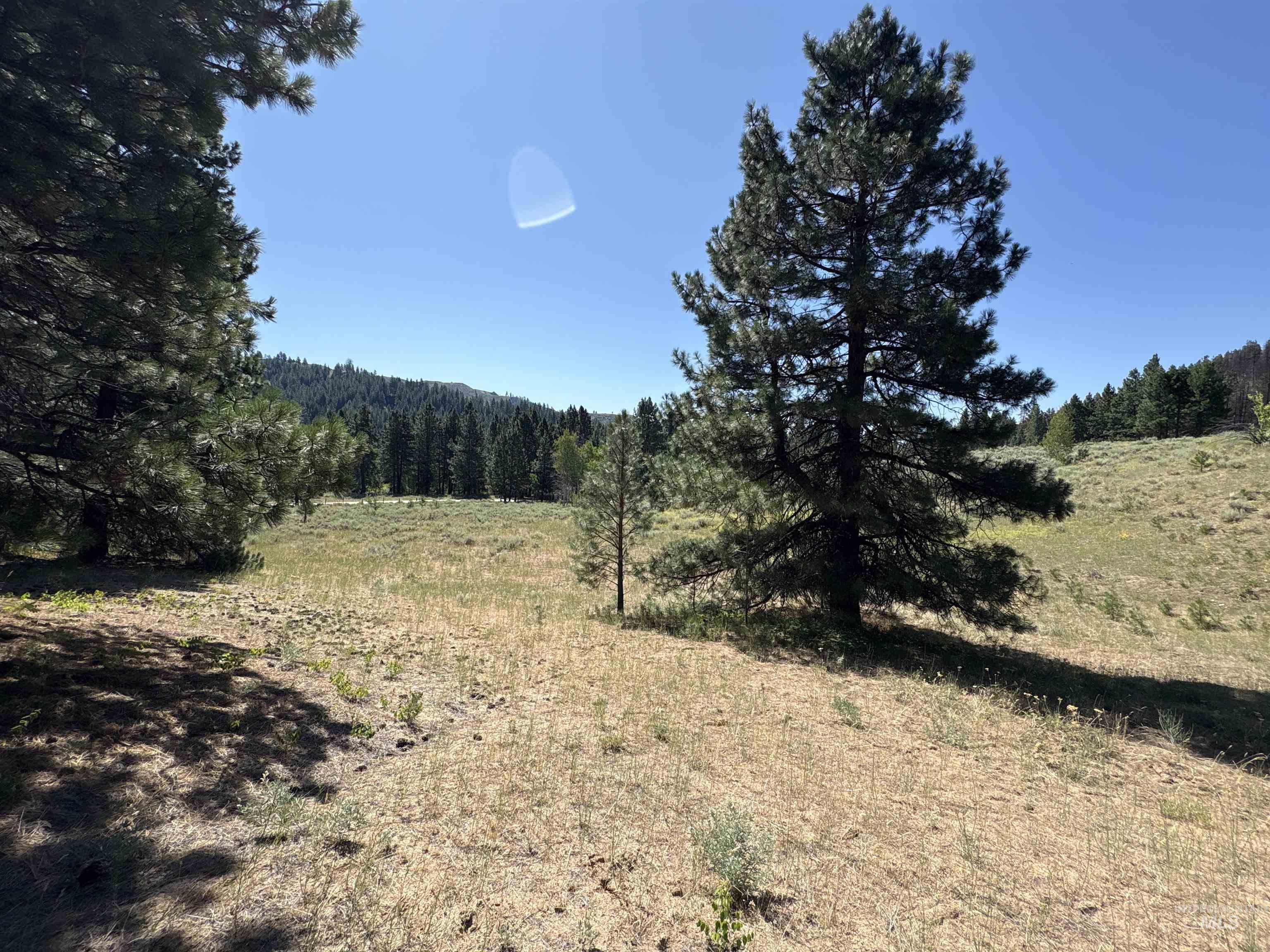 Tbd Smith Creek Road Mountain Home, ID 83647 - Photo 5 of 19