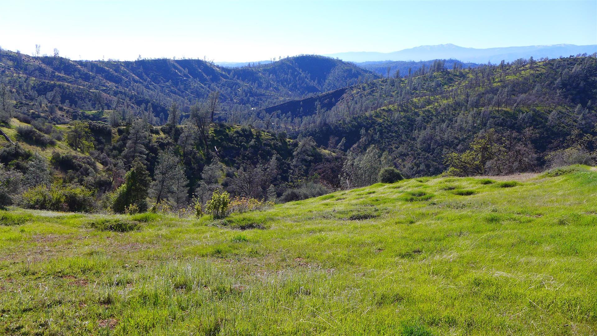 Lot 229 Yolla Bolly Road Igo, CA 96047 - Photo 39 of 66 2