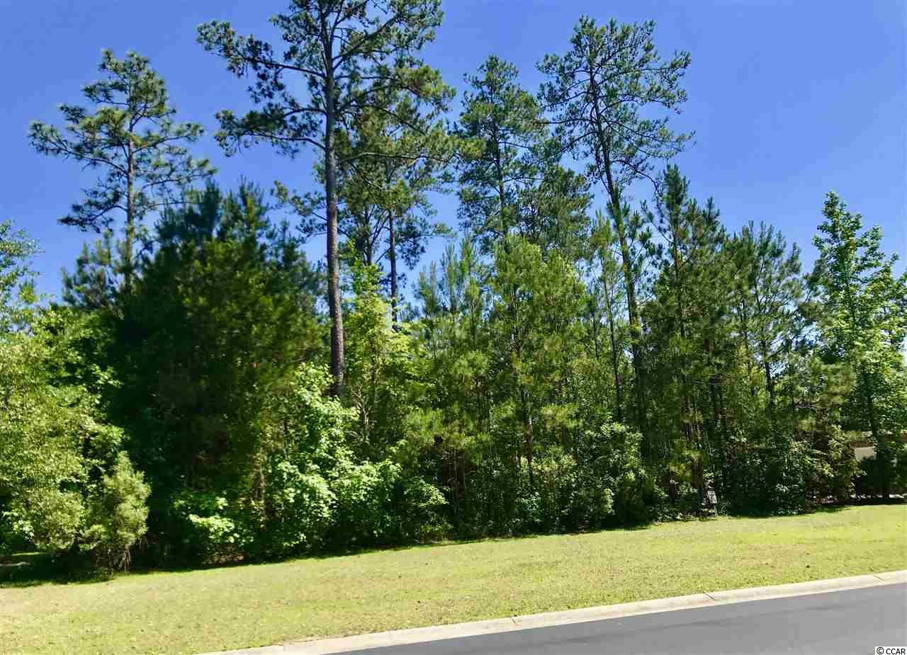 Lot 111 Cascade Drive Murrells Inlet, SC 29576 - Photo 1 of 11 Gallery Image 1