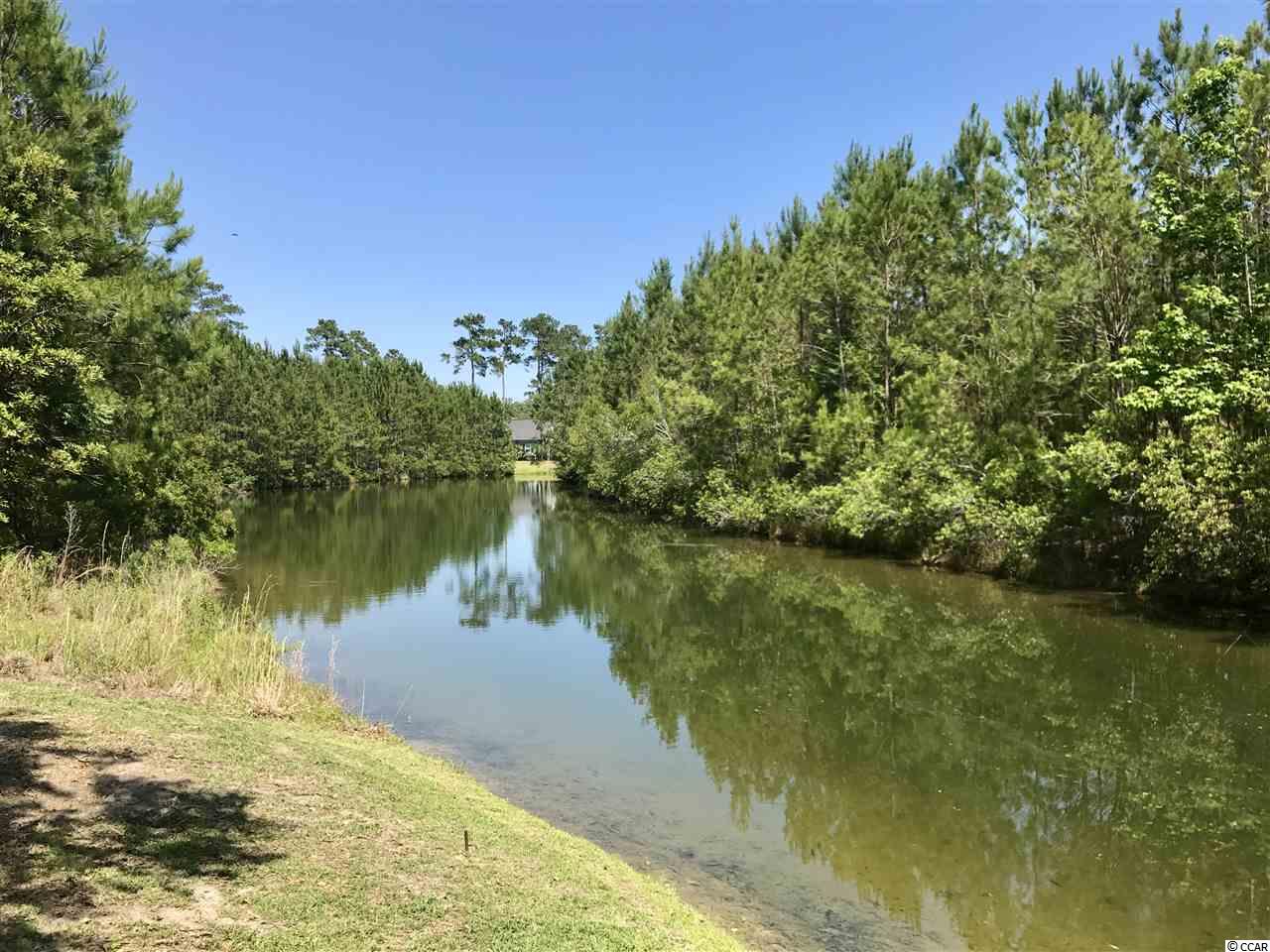 Lot 111 Cascade Drive Murrells Inlet, SC 29576 - Photo 3 of 11 Gallery Image 3