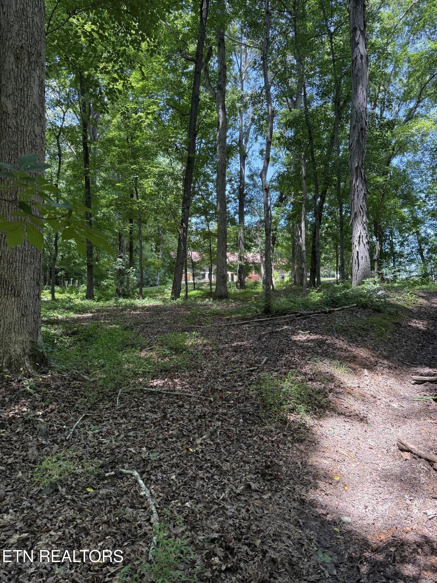 426 County Road 728 Riceville, TN 37370 - Photo 32 of 43 IMG_6502