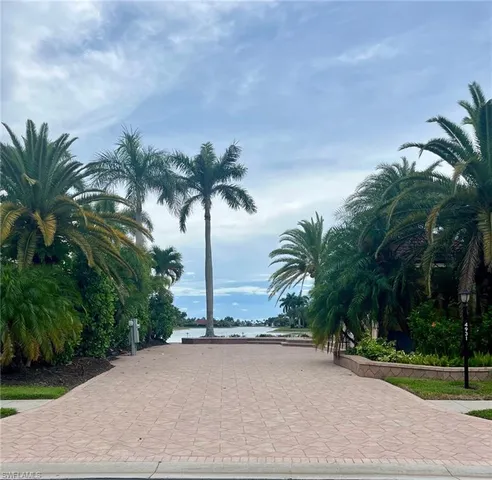 a palm tree sitting in front of a house with a yard