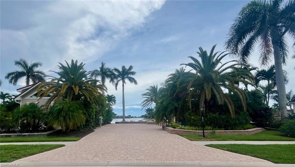 4931 Coach Lane Naples, FL 34114 - Photo 2 of 13 a palm tree sitting in front of a with palm trees