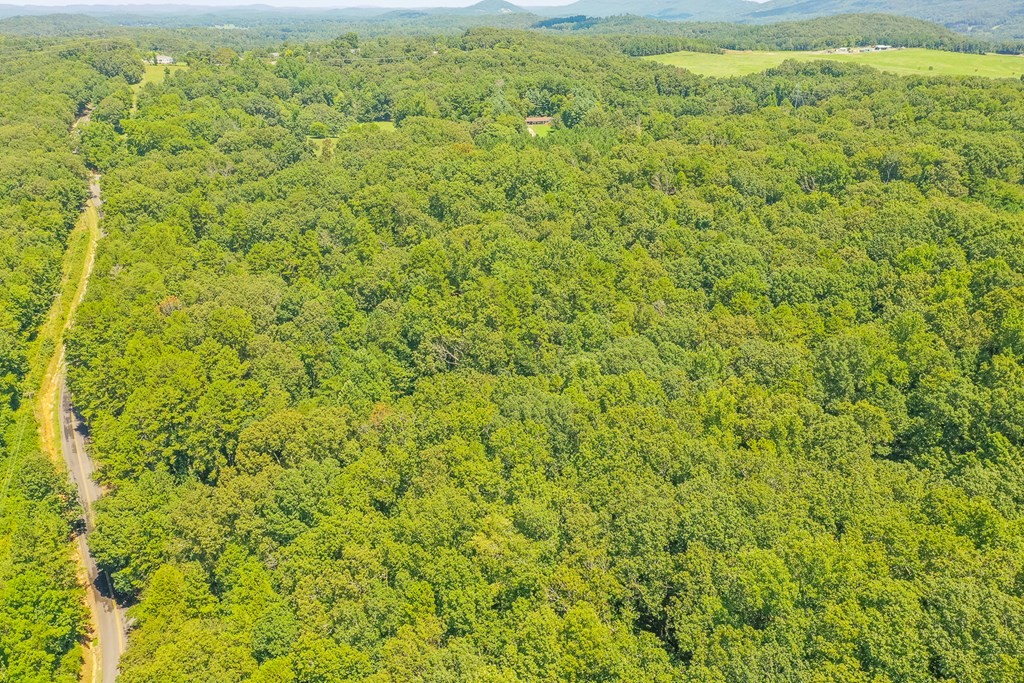 26 Quarles Road Rocky Face, GA 30740 - Photo 8 of 11 a view of a green field
