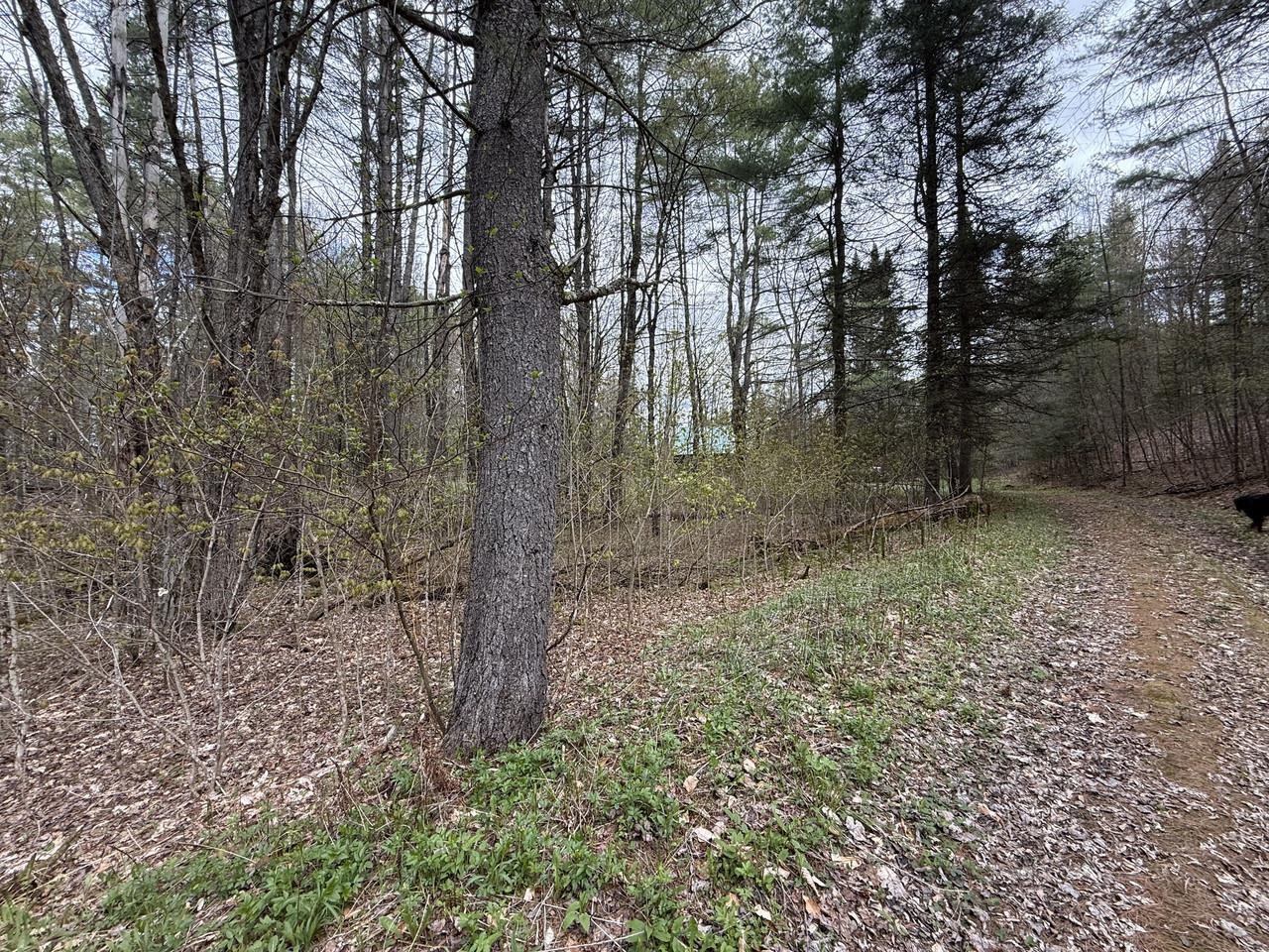 169 Jenkins Brook Road Chelsea, VT 05038 - Photo 29 of 30