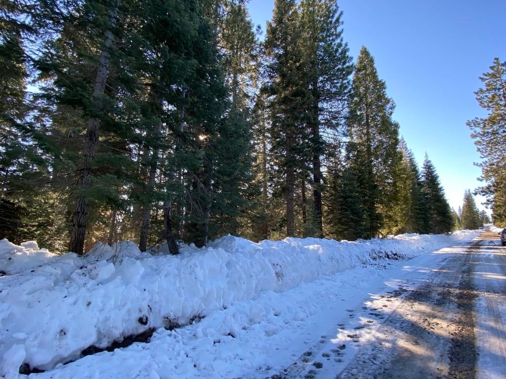 4-e-26 Ridge Drive McCloud, CA 96057 - Photo 18 of 19 Gallery Image 18