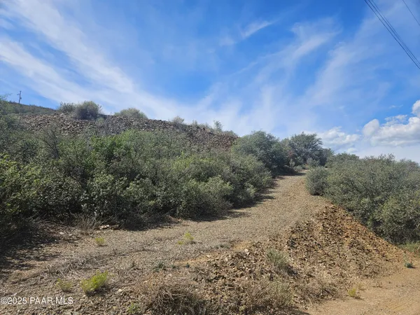 a view of a dry yard with trees in the background
