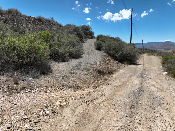 a view of a dry yard