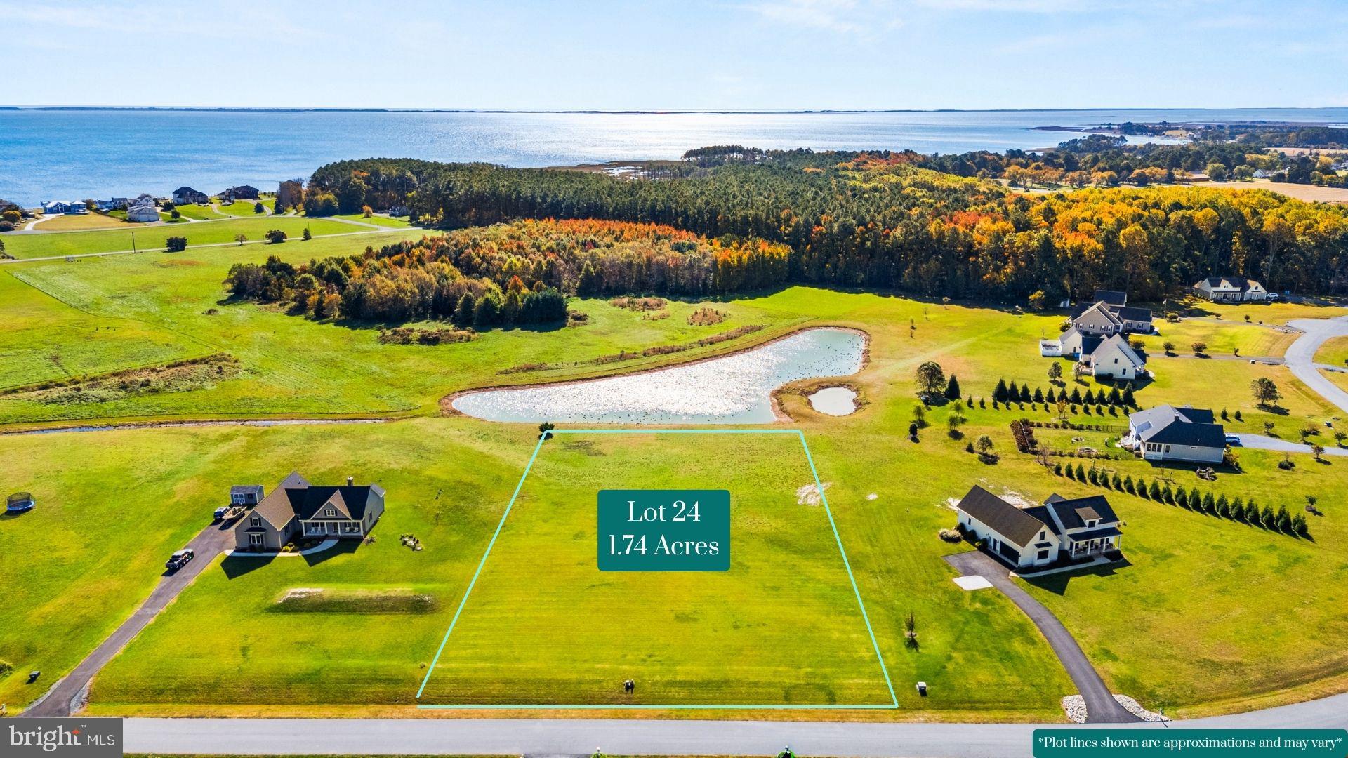 a view of an outdoor space