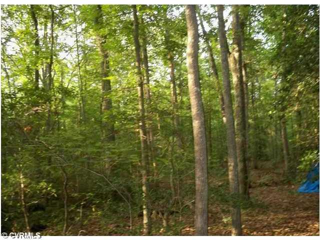 -not Yet Assigned Spring Cottage Road Newtown, VA 23126 - Photo 5 of 5 Gallery Image 5