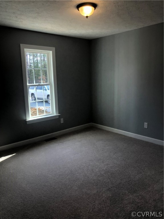 571 Eastern View Road Dunnsville, VA 22454 - Photo 12 of 14 Gallery Image 12