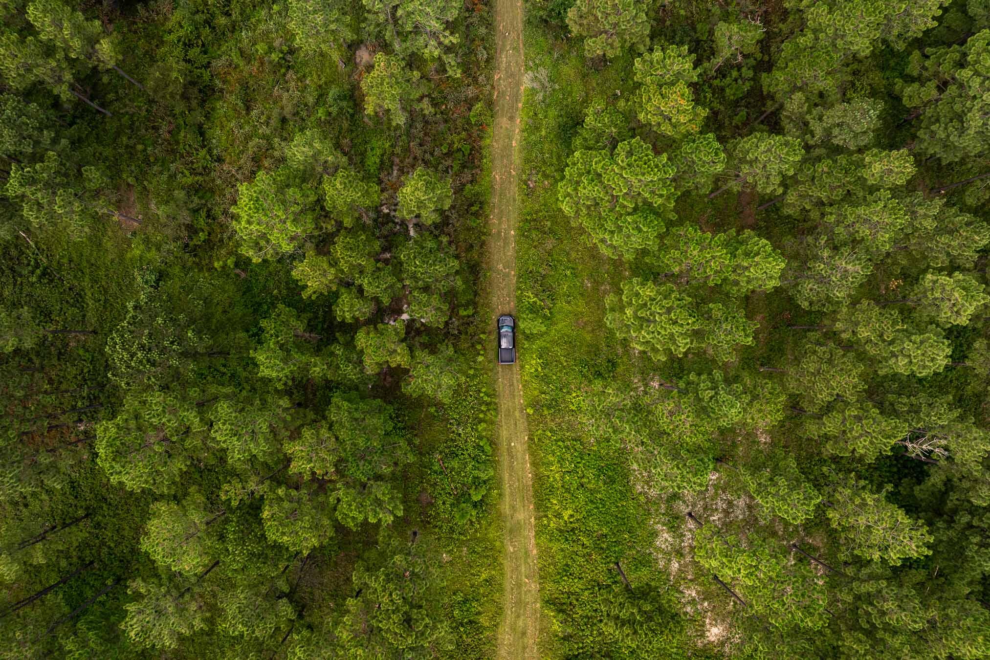 6604 Pine Island Road Albany, GA 31721 - Photo 69 of 100 PineKnollDucker-1075