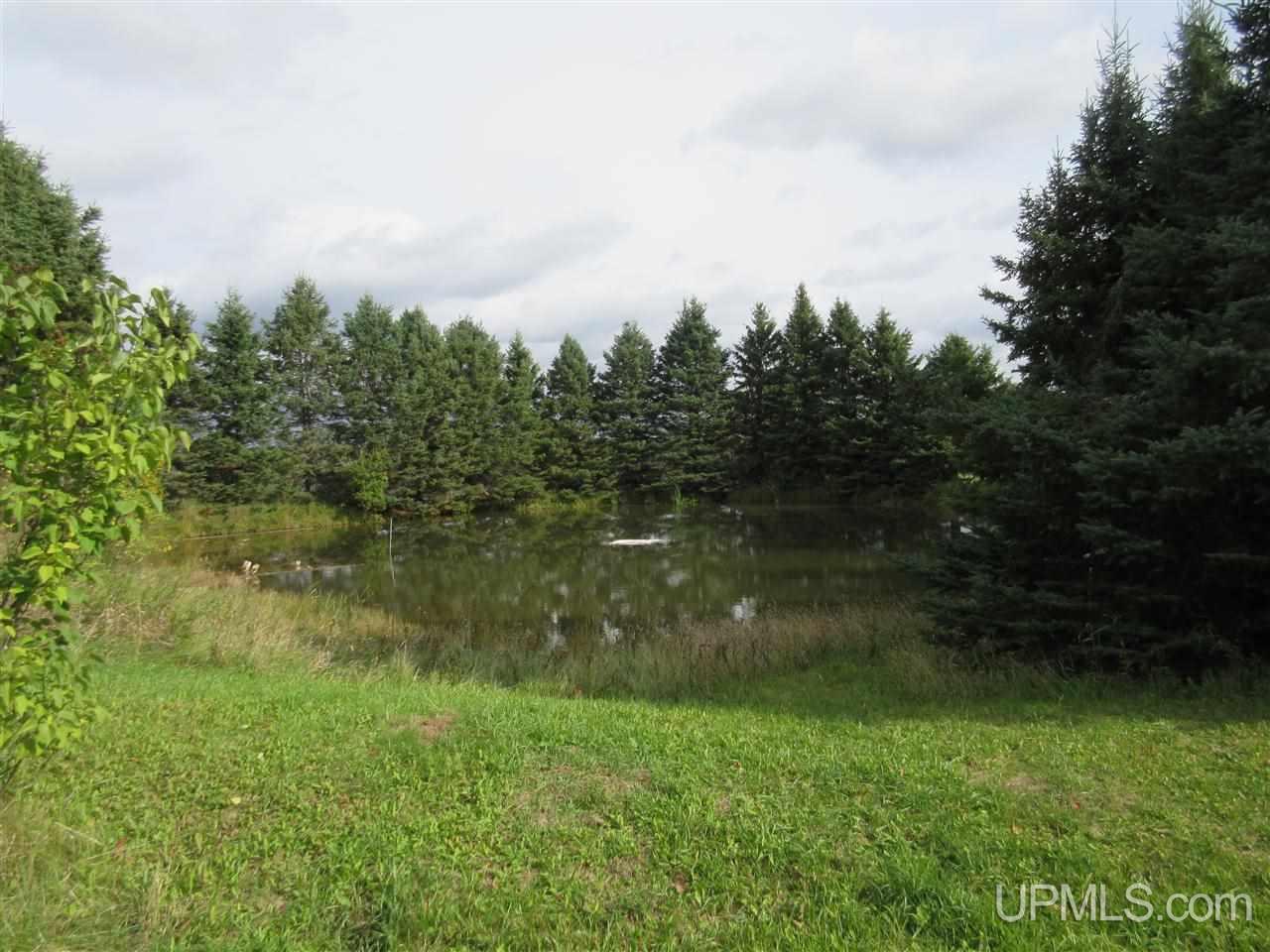 29272 Simar Wasas Road Mass City, MI 49948 - Photo 3 of 14