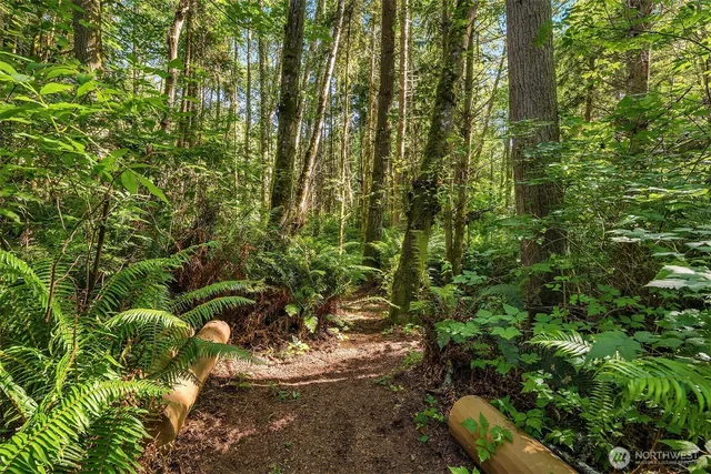 a view of a garden with plants