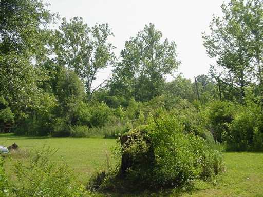 0 60328 Bennett Road Amite, LA 70422 - Photo 3 of 8 Gallery Image 3