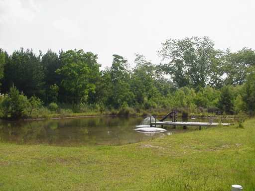 0 60328 Bennett Road Amite, LA 70422 - Photo 8 of 8 Gallery Image 8