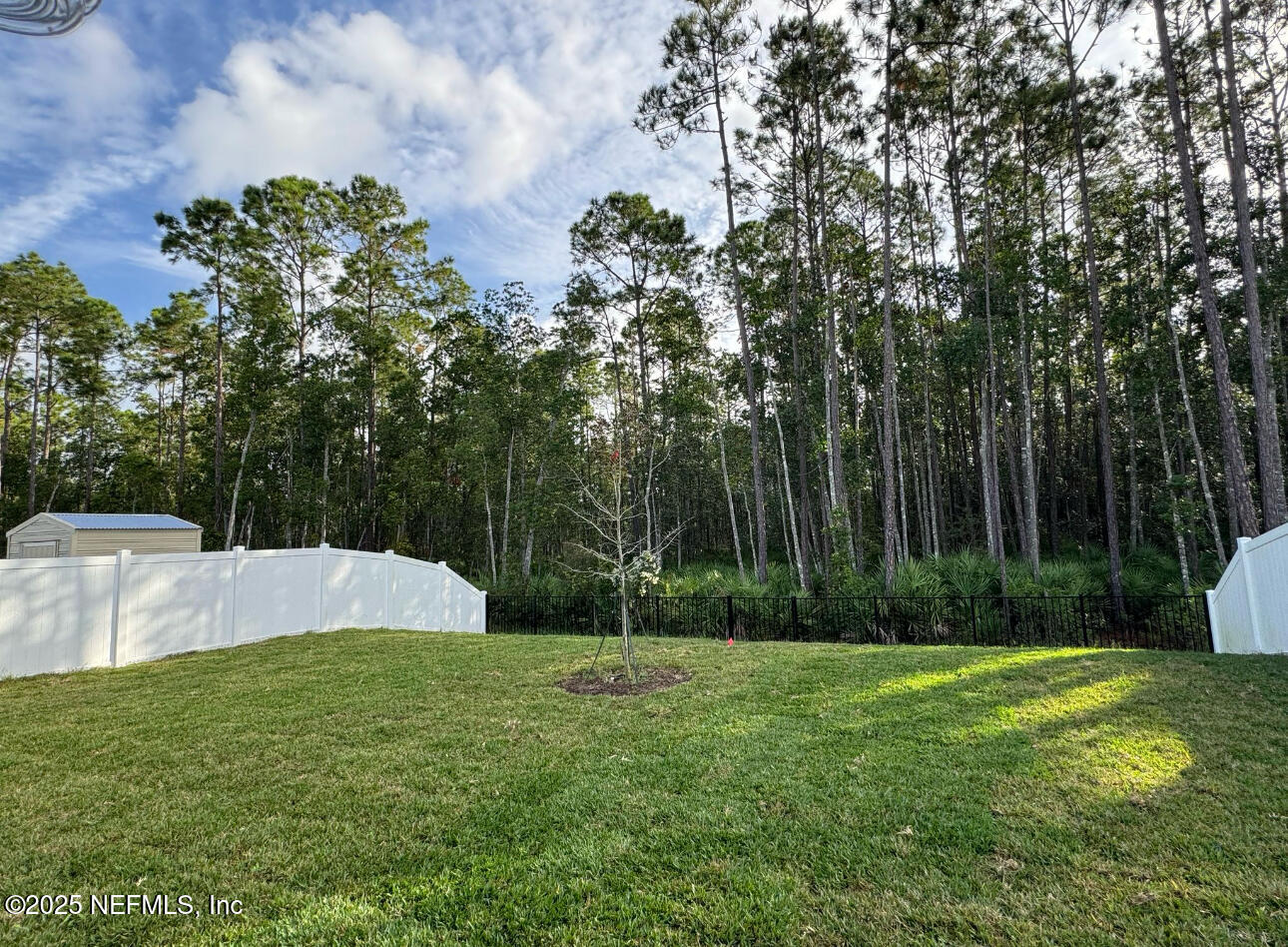 828 Morgans Treasure Road St. Augustine, FL 32084 - Photo 3 of 21 a view of a backyard