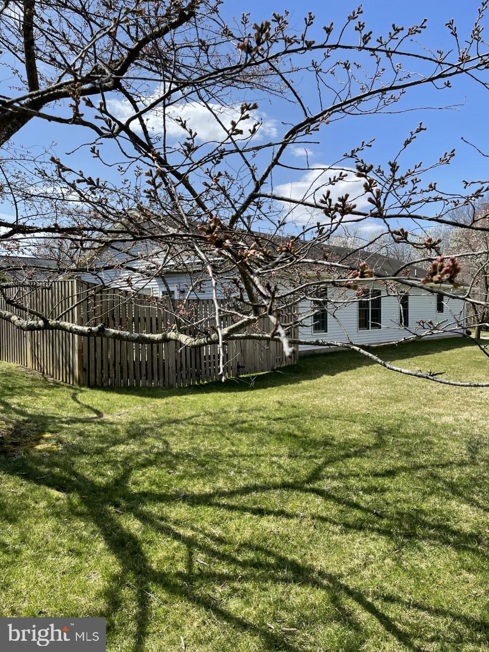 521 Coover Road Annapolis, MD 21401 - Photo 2 of 18 VIEW OF THE REAR OF PROPERTY