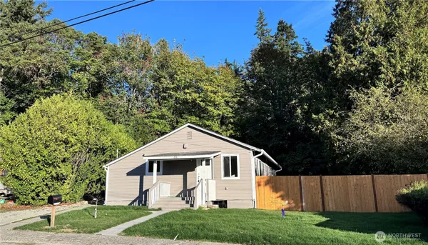 a view of a yard in front of a house with plants and large tree