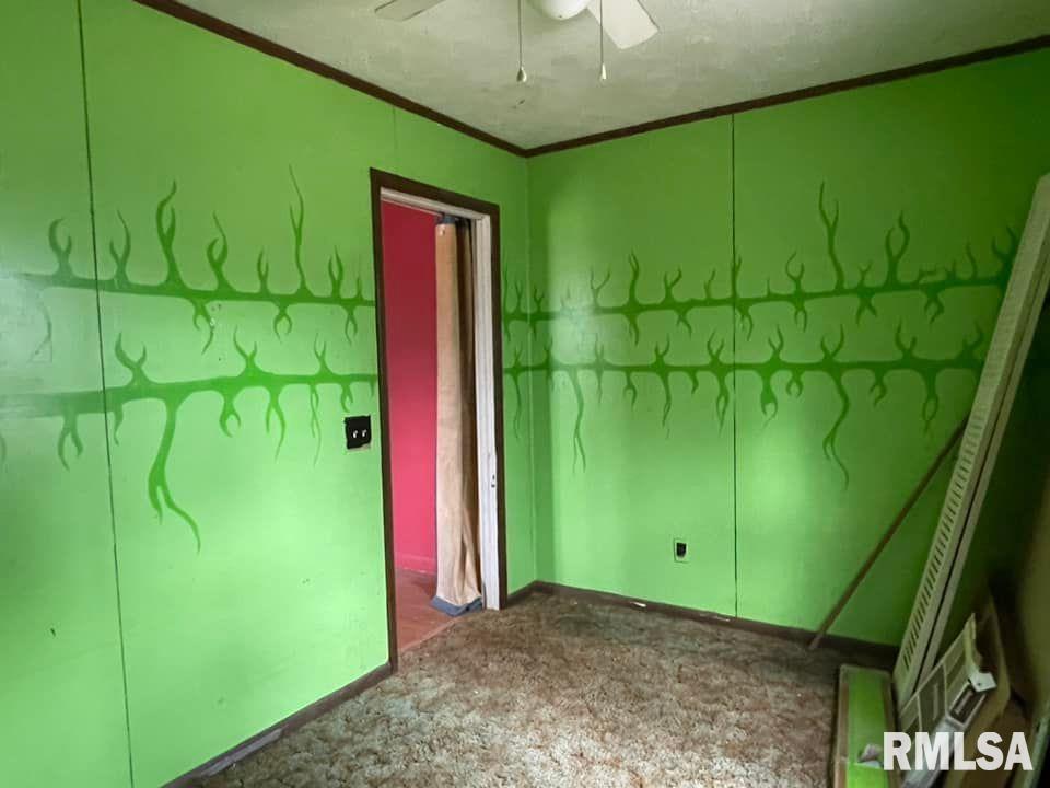 4219 Mann Lake Road Metropolis, IL 62960 - Photo 28 of 28