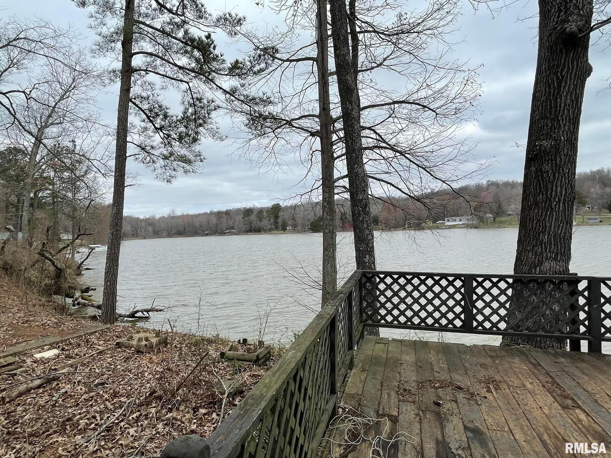 4219 Mann Lake Road Metropolis, IL 62960 - Photo 4 of 28