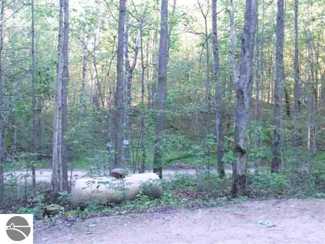 11260 Crawford Road Ellsworth, MI 49729 - Photo 10 of 11 1717710-9.JPG