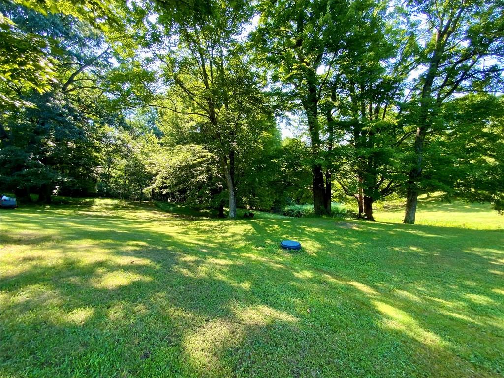 100 Fobes Drive Clinton, PA 15026 - Photo 29 of 36 a view of a trees with a big yard