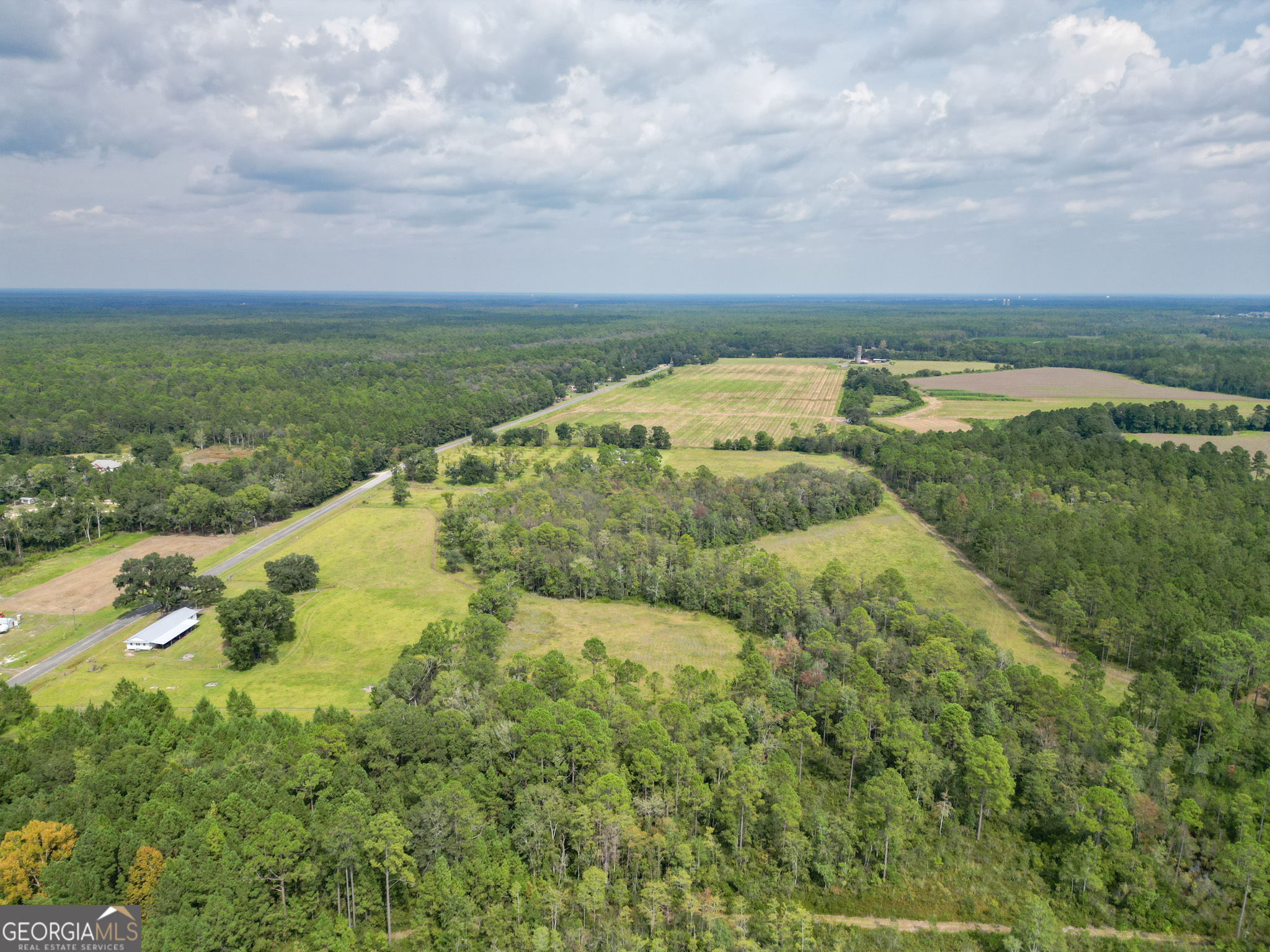 30-acres Hodges Road Hinesville, GA 31313 - Photo 12 of 34 a view of a lake with a big yard