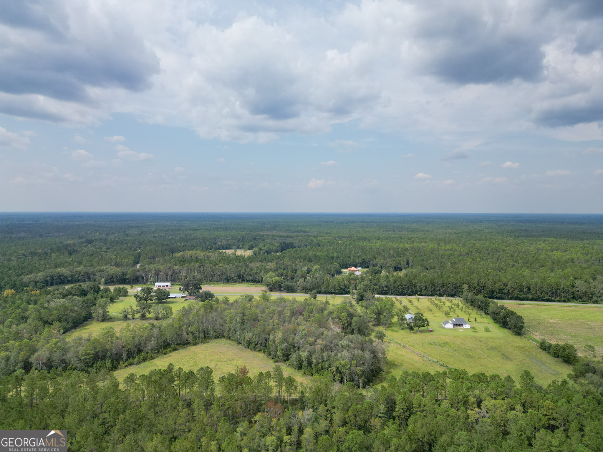 30-acres Hodges Road Hinesville, GA 31313 - Photo 6 of 34