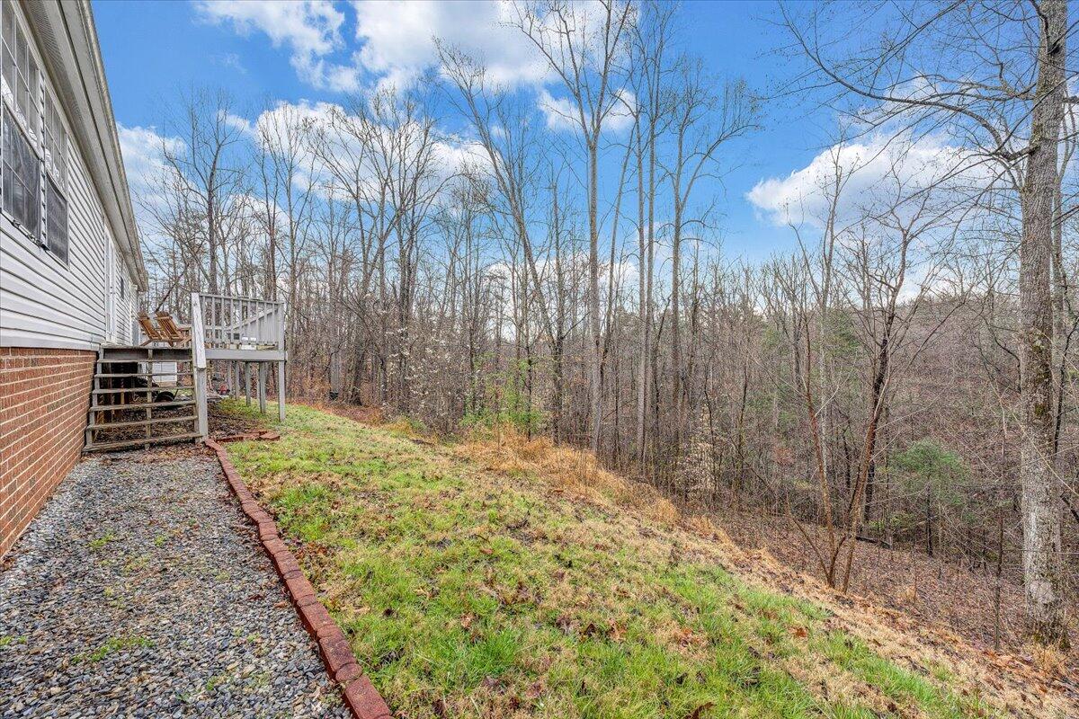 2492 Foster Road Thaxton, VA 24174 - Photo 24 of 34 a view of a backyard of the house