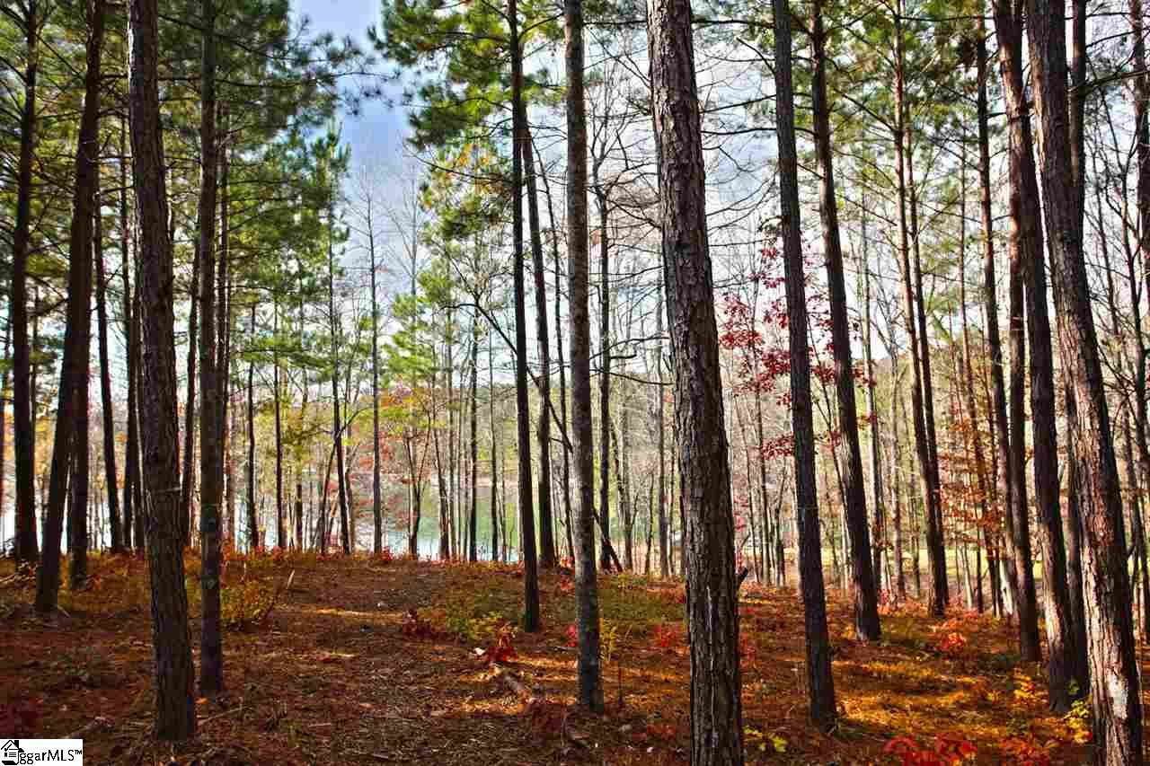 72 McAlister Road West Union, SC 29696 - Photo 19 of 33
