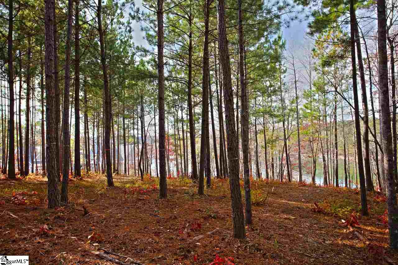 72 McAlister Road West Union, SC 29696 - Photo 21 of 33