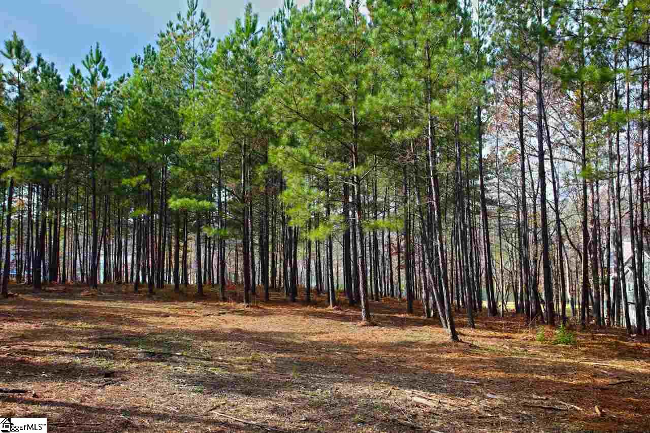 72 McAlister Road West Union, SC 29696 - Photo 22 of 33