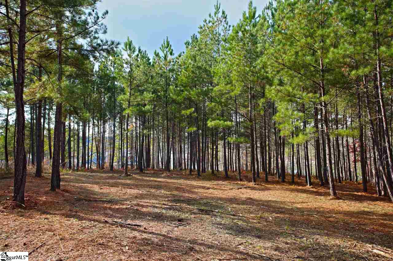 72 McAlister Road West Union, SC 29696 - Photo 23 of 33