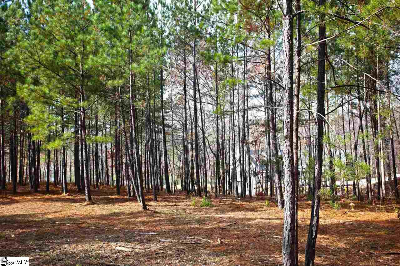 72 McAlister Road West Union, SC 29696 - Photo 24 of 33