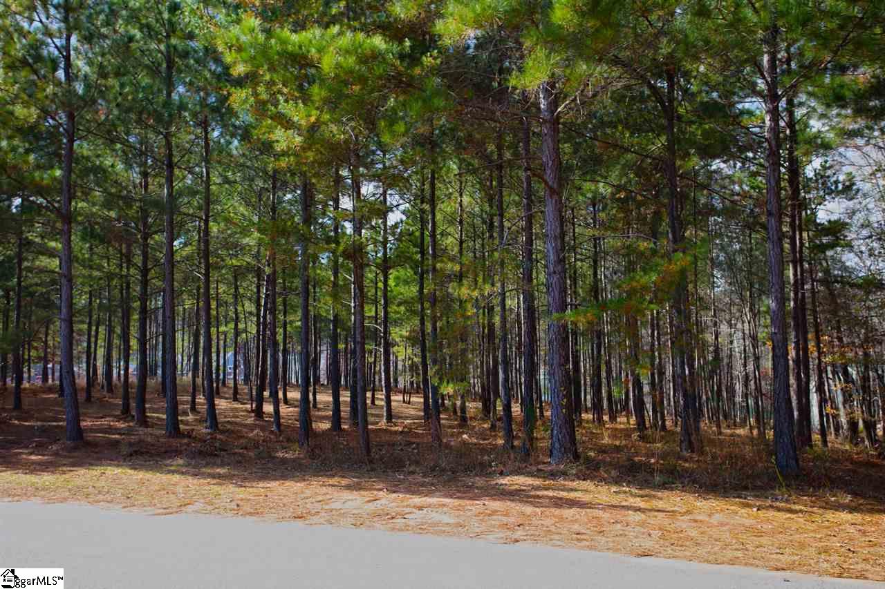 72 McAlister Road West Union, SC 29696 - Photo 26 of 33