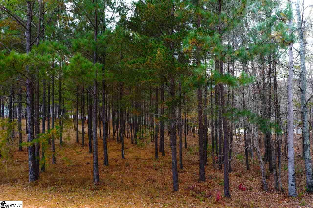 72 McAlister Road West Union, SC 29696 - Photo 28 of 33
