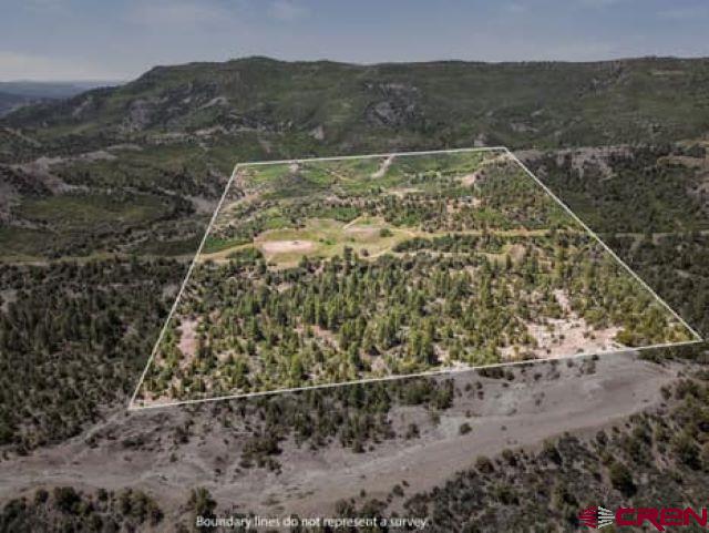 1350 Lion Road Durango, CO 81303 - Photo 17 of 34