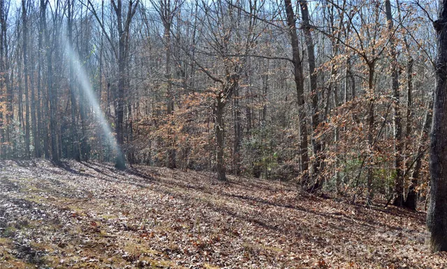 a view of a house with large trees
