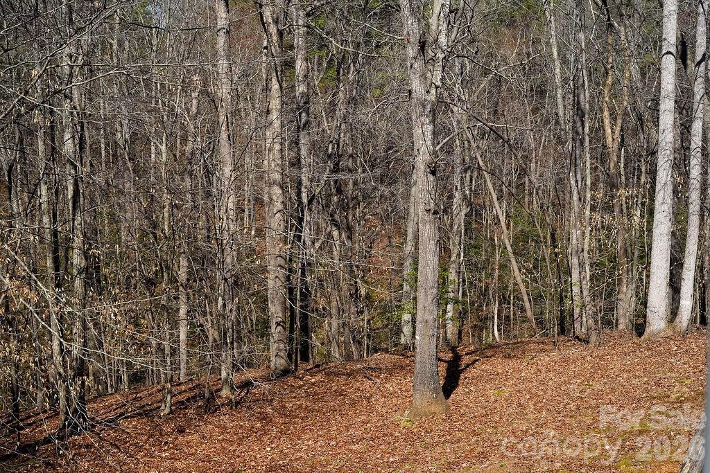 7972 Summit Ridge Drive Catawba, NC 28609 - Photo 37 of 48