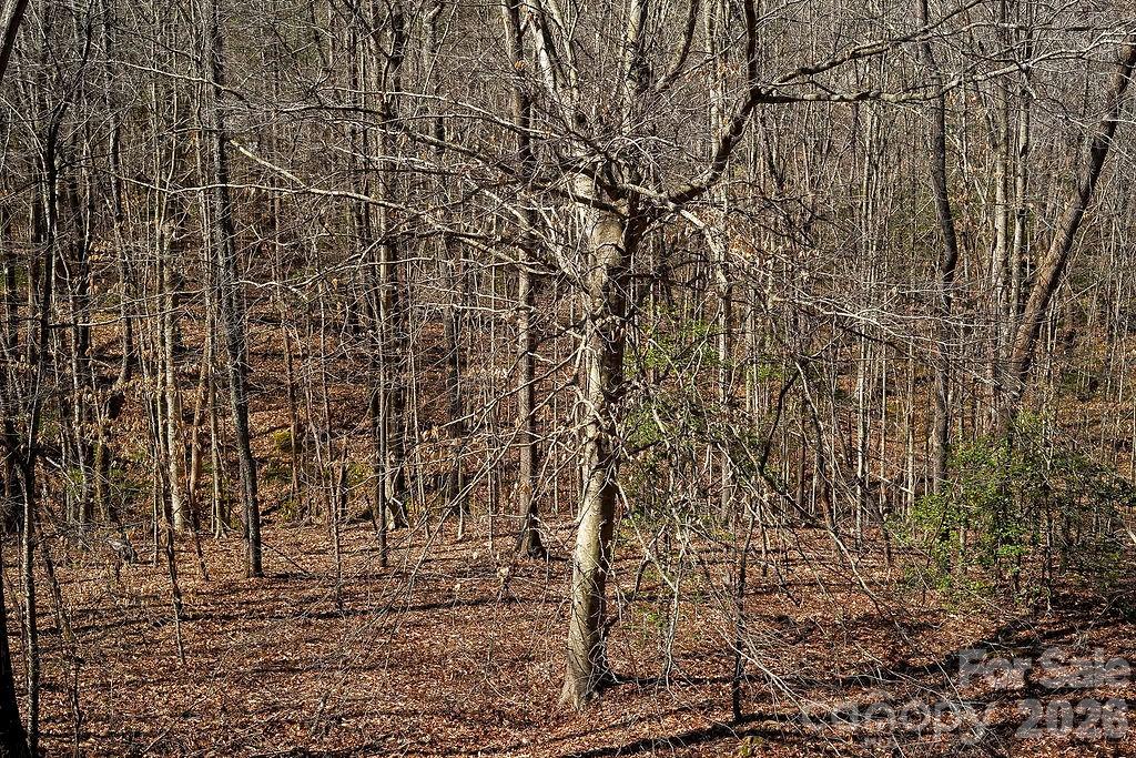 7972 Summit Ridge Drive Catawba, NC 28609 - Photo 38 of 48