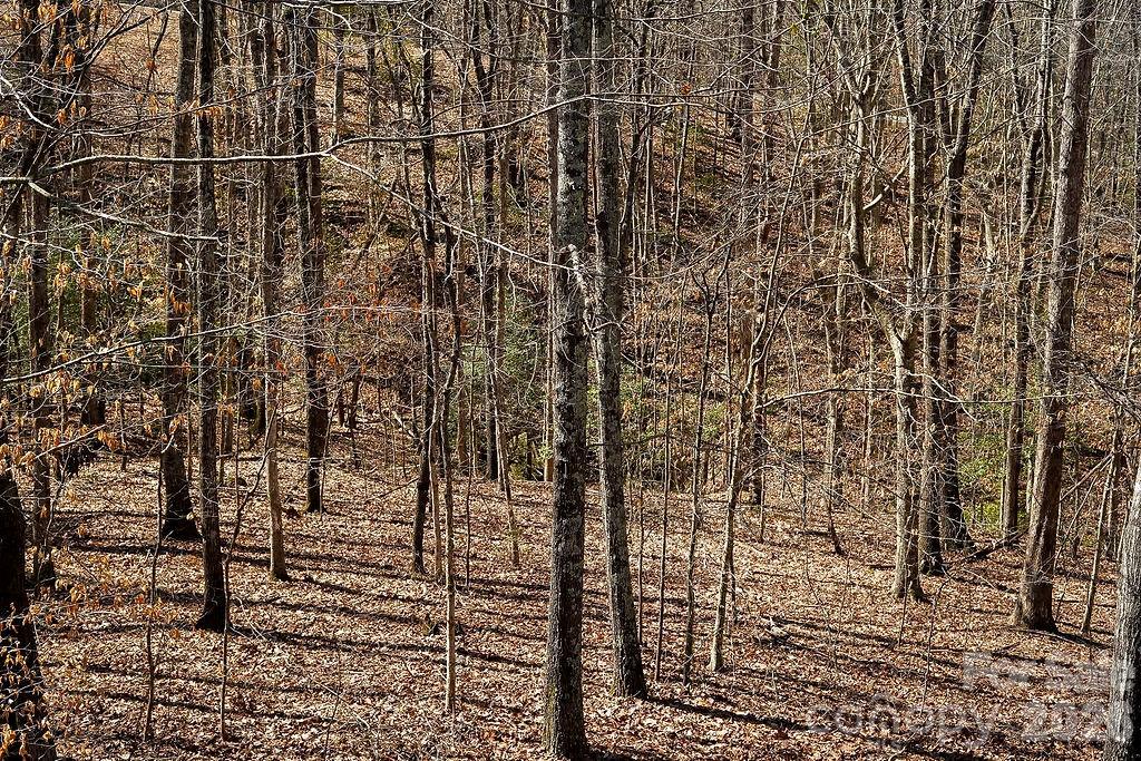 7972 Summit Ridge Drive Catawba, NC 28609 - Photo 39 of 48