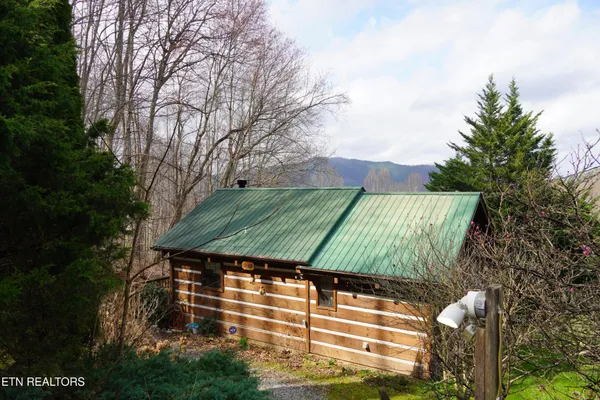 a view of a yard with plants and a lawn chair under an umbrella