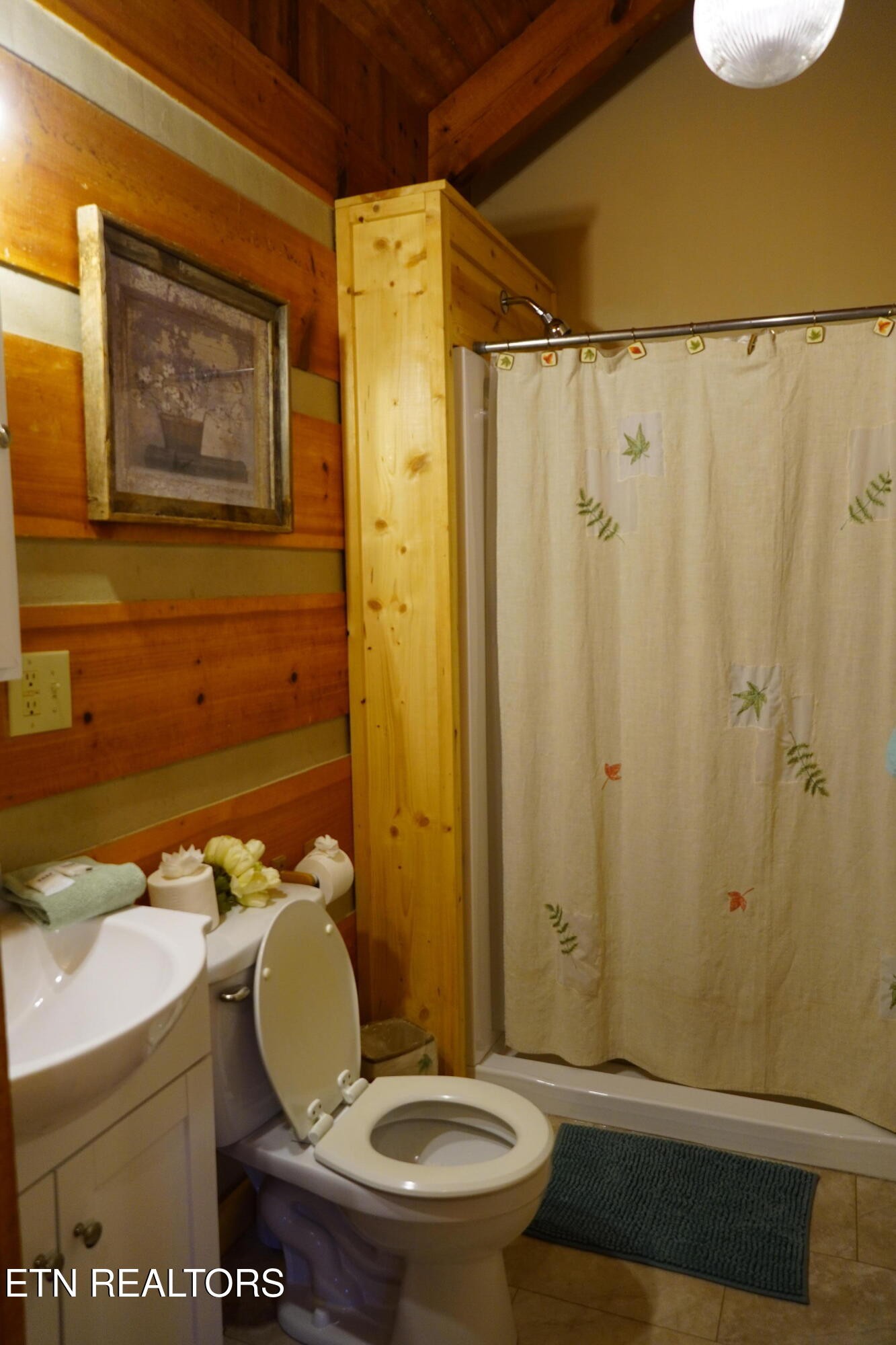 994 Emilyville Way Cosby, TN 37722 - Photo 15 of 24 a bathroom with a toilet a sink and shower